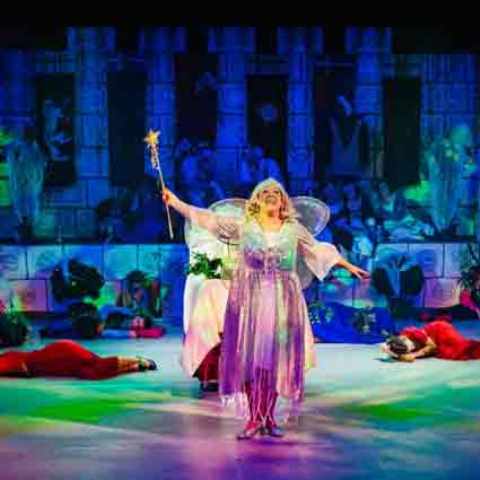 Fairy sends Court asleep for 100 years